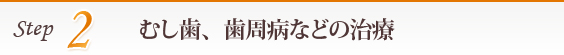 2.むし歯、歯周病などの治療