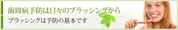 歯周病予防は日々のブラッシングからブラッシングは予防の基本です